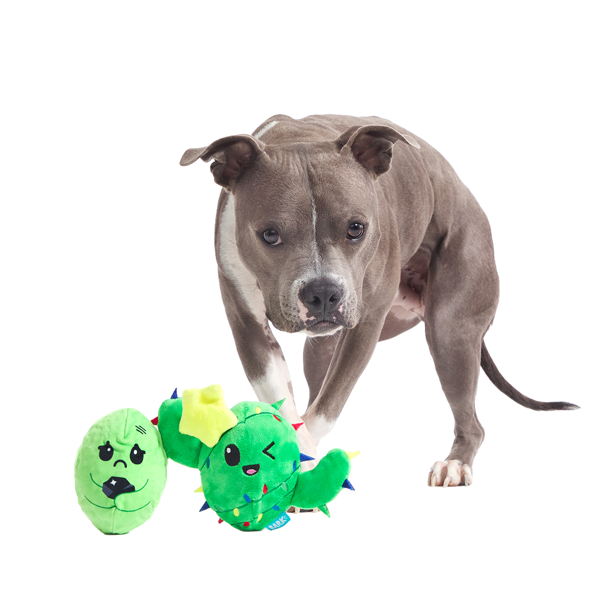 Consuela the Christmas Cactus Plush 2-in-1 + Tug Dog Toy