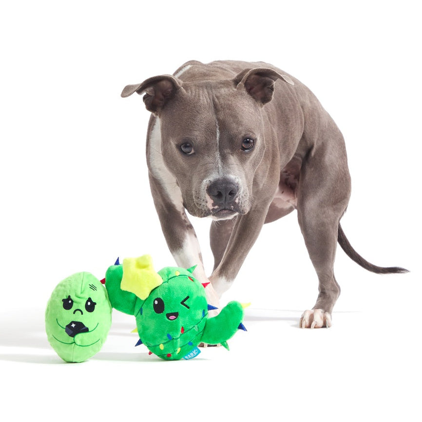 Christmas Best Sellers Dog Toy & Treat Holiday Gift Box