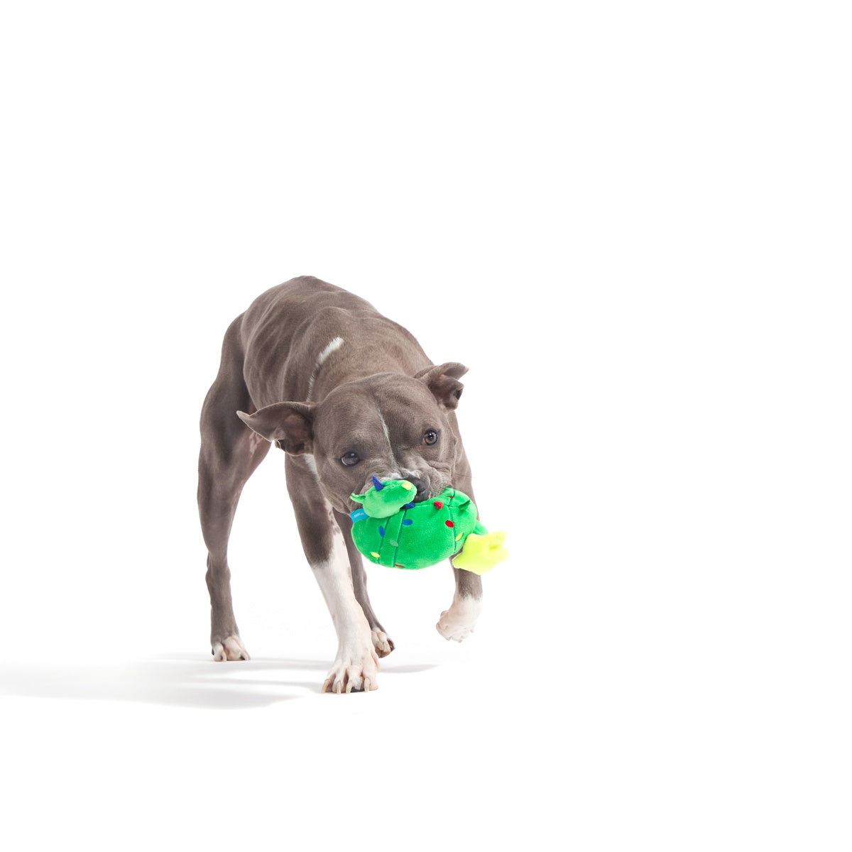 Consuela the Christmas Cactus Rip & Reveal Plush Dog Toy