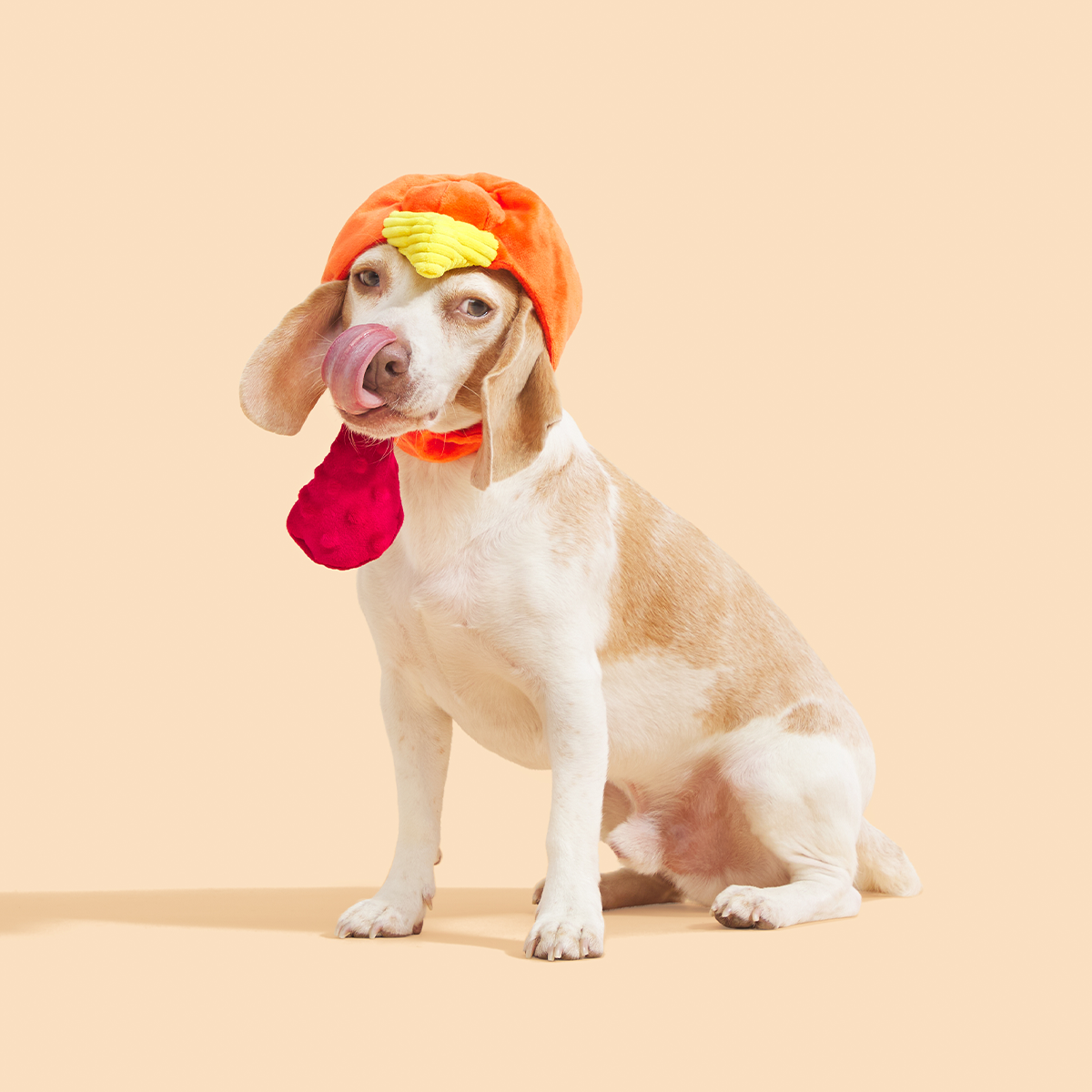 Gobble Head Plush Wearable + Tug Dog Toy