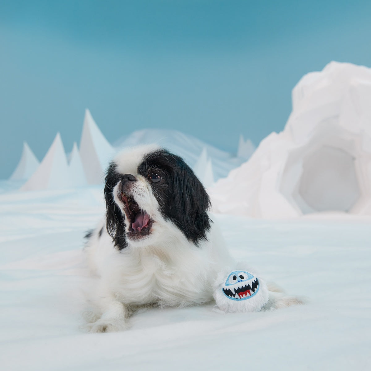 Rudolph® Holiday Gift BarkBox