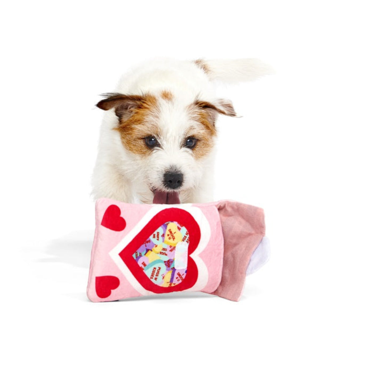 Squeak Hearts Plush Multi-Part + Enrichment Dog Toy