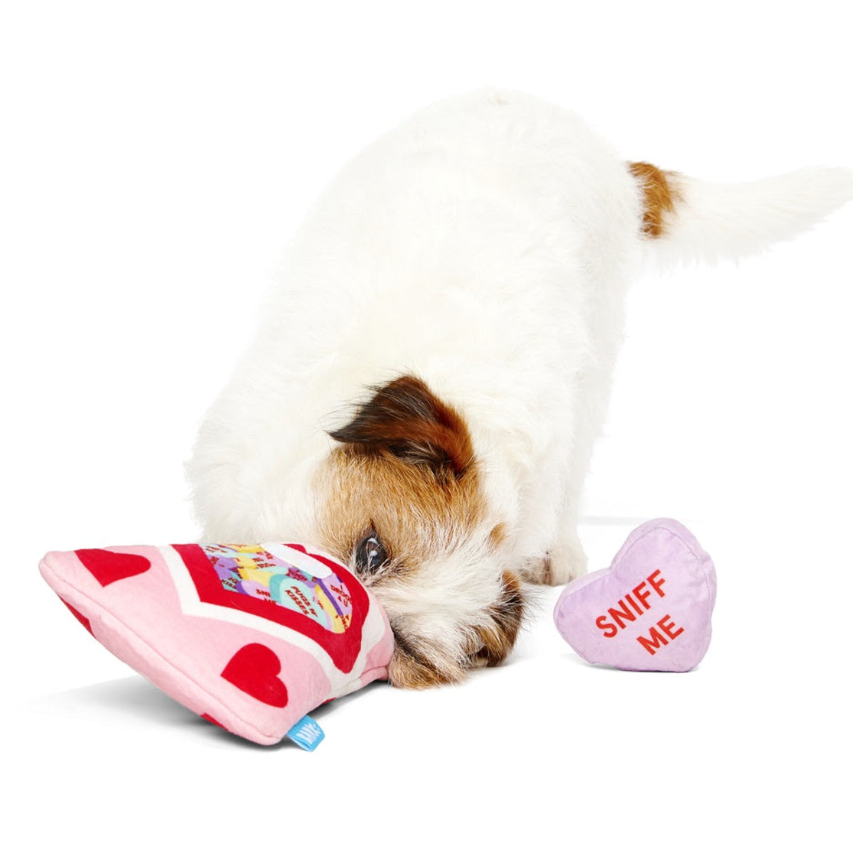 Squeak Hearts Plush Multi-Part + Enrichment Dog Toy