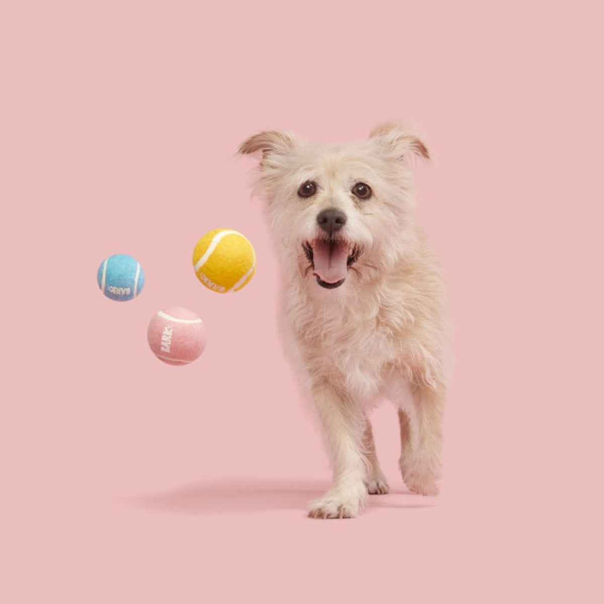 TennisBallClub#Size_S