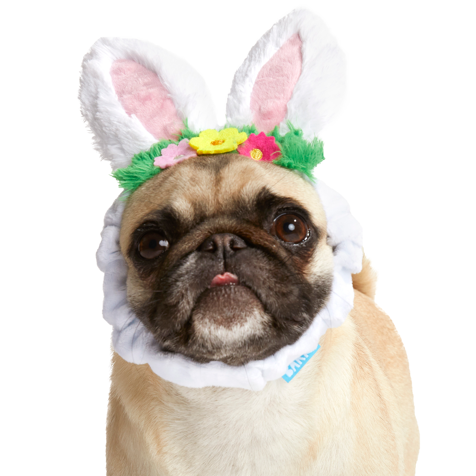 Hare Club Plush Wearable Dog Toy