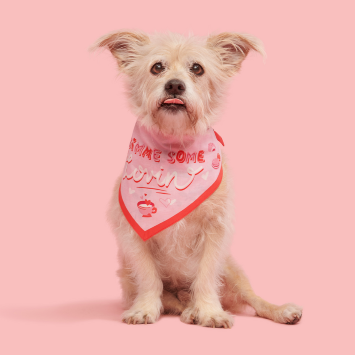 Valentine's Day Bandana