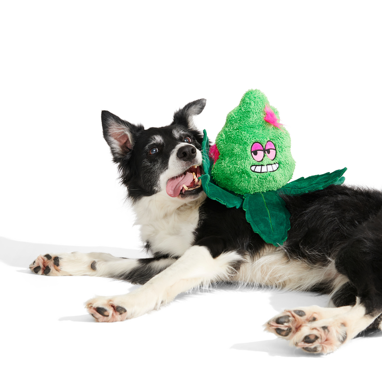 Foggy Green Giant Extra-Large Plush Dog Toy