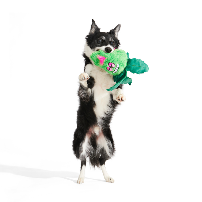 Foggy Green Giant Extra-Large Plush Dog Toy