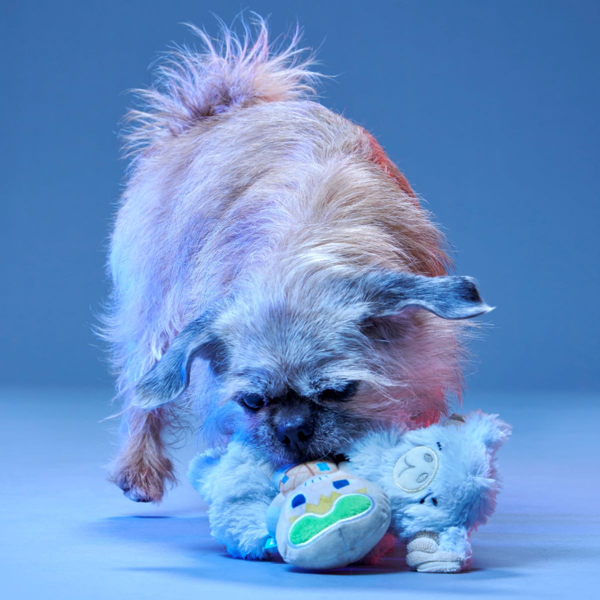 Lukewarm Tauntaun™