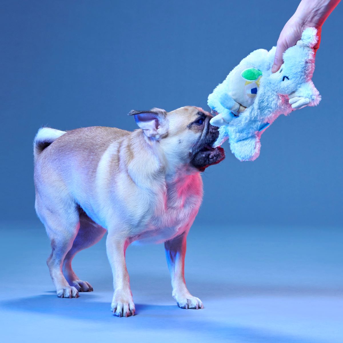 Lukewarm Tauntaun™