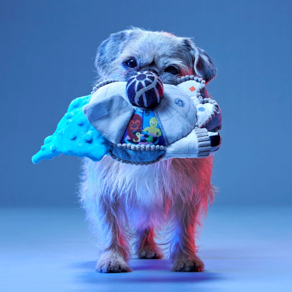 Ultimutt Milennium Falcon™