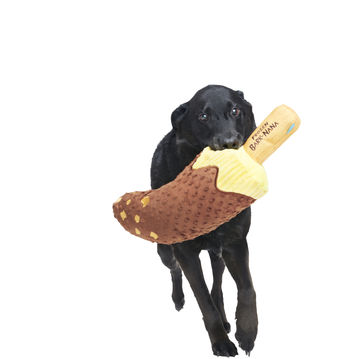 Furozen Bignana Plush Extra-Large Dog Toy – BARK