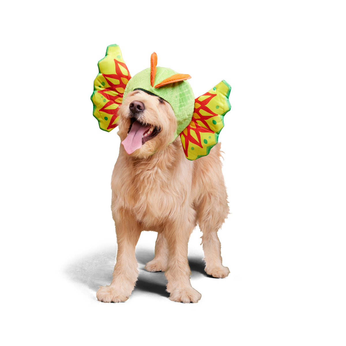 Spittin' Image Dino Collar