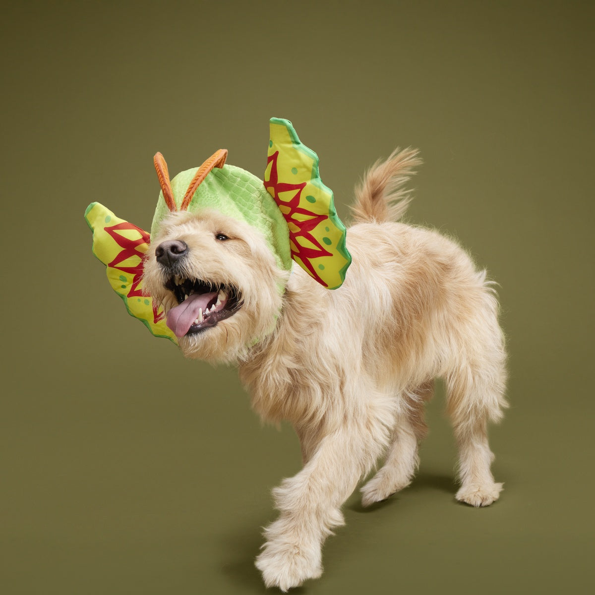 Spittin' Image Dino Collar