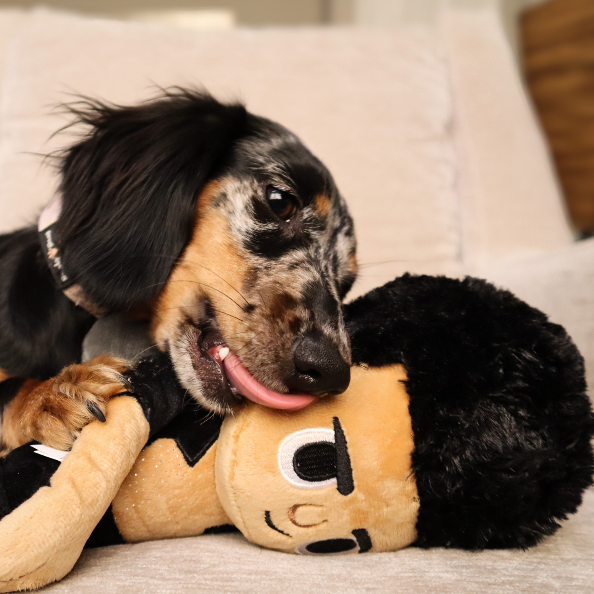 BOX-ATB_212416_LIFE-FINDS-A-PLAY-M-L_MYLO-MEL_2-2001x1587-8cd0c51_82aea3a1-b34c-4d46-b0ca-677b6df04959.png#Size_S