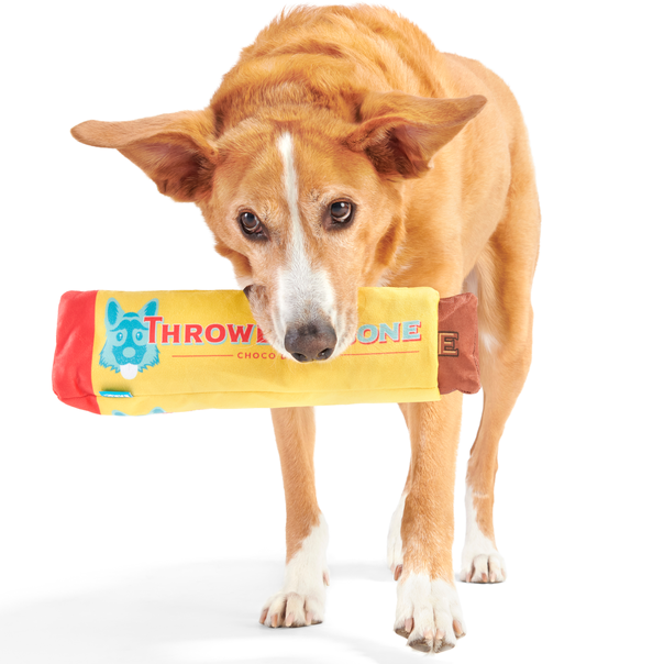 ThrowblerBone Plush Extra-Large Multi-Part + Enrichment Dog Toy