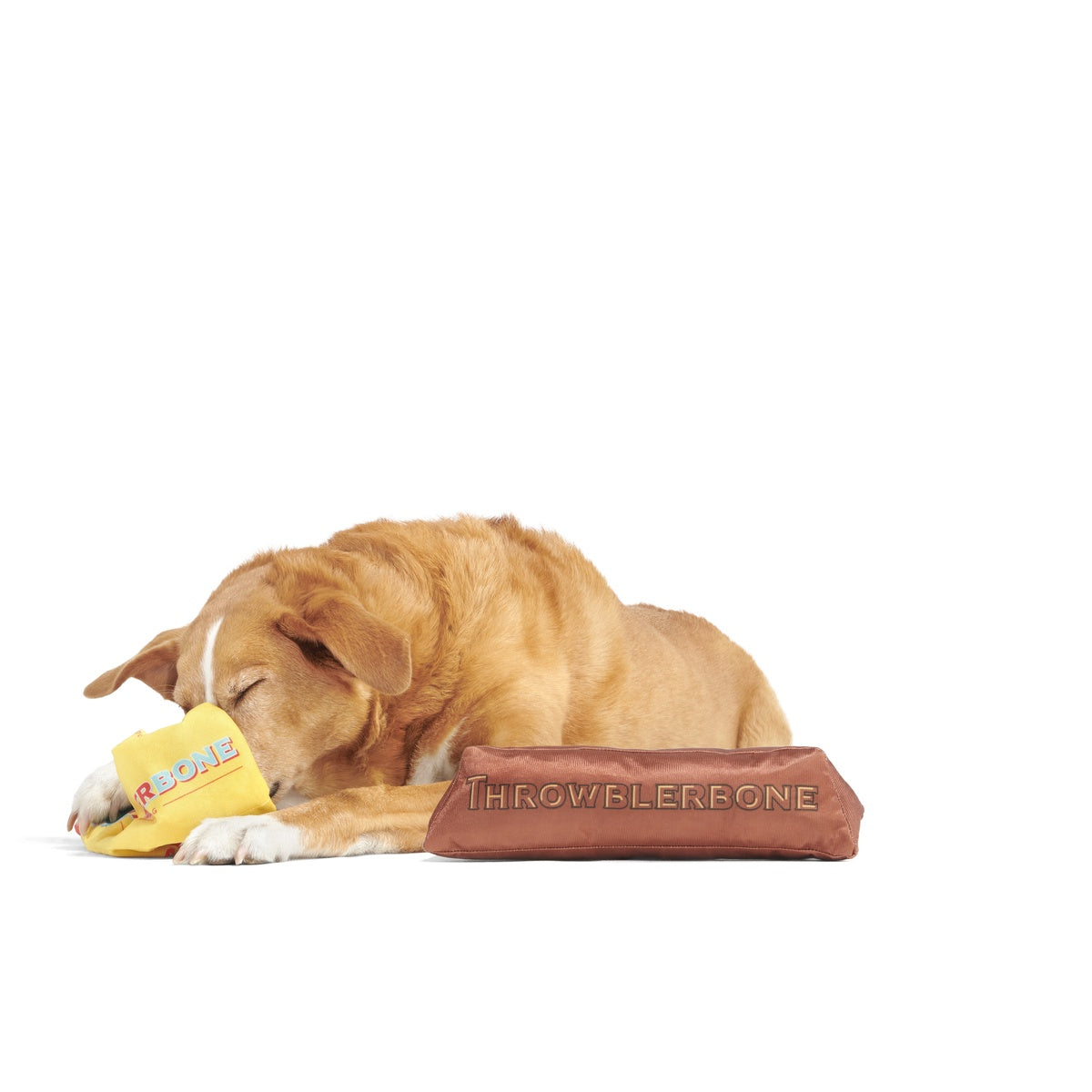 ThrowblerBone Plush Extra-Large Multi-Part + Enrichment Dog Toy