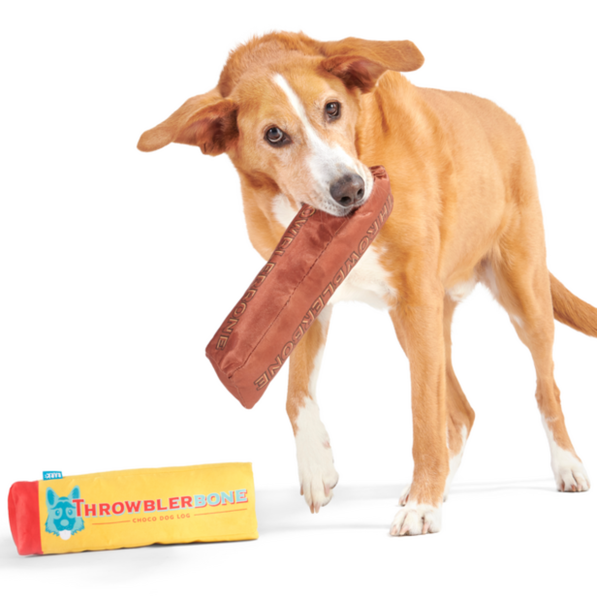 ThrowblerBone Plush Extra-Large Multi-Part + Enrichment Dog Toy