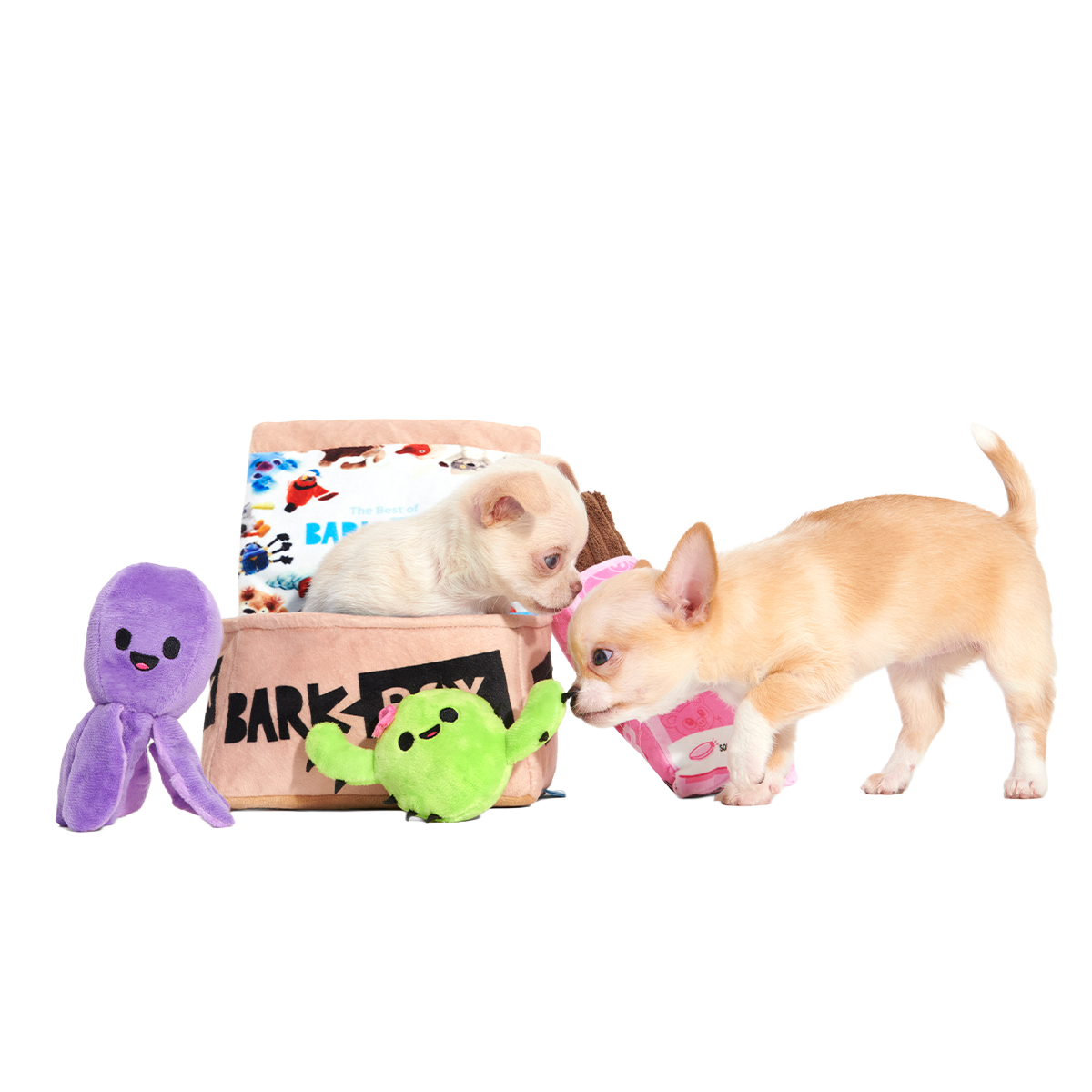 Fun Size BarkBox Plush Multi-Part Dog Toy#Size_S