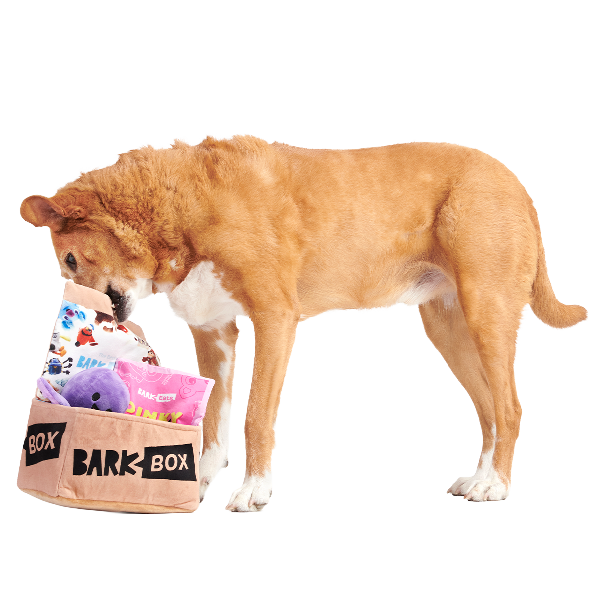 Fun Size BarkBox Plush Multi-Part Dog Toy#Size_M/L