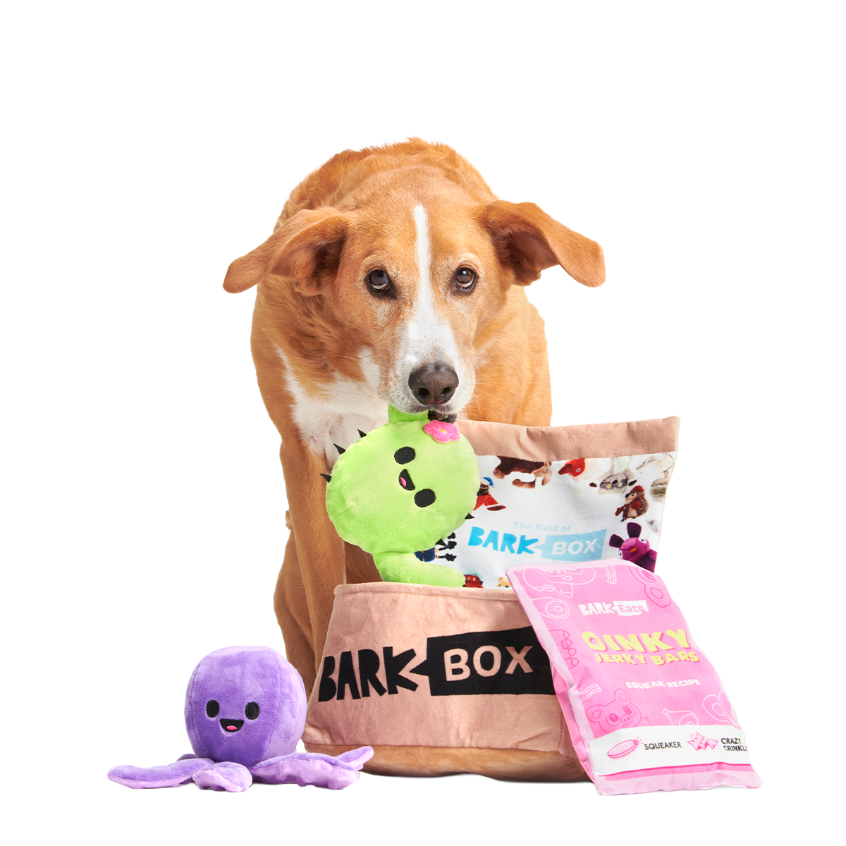 Fun Size BarkBox Plush Multi-Part Dog Toy#Size_M/L