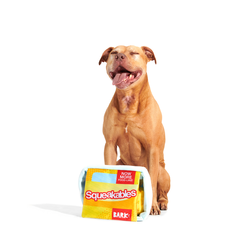 Squeakables Plush Multi-Part + Enrichment Dog Toy