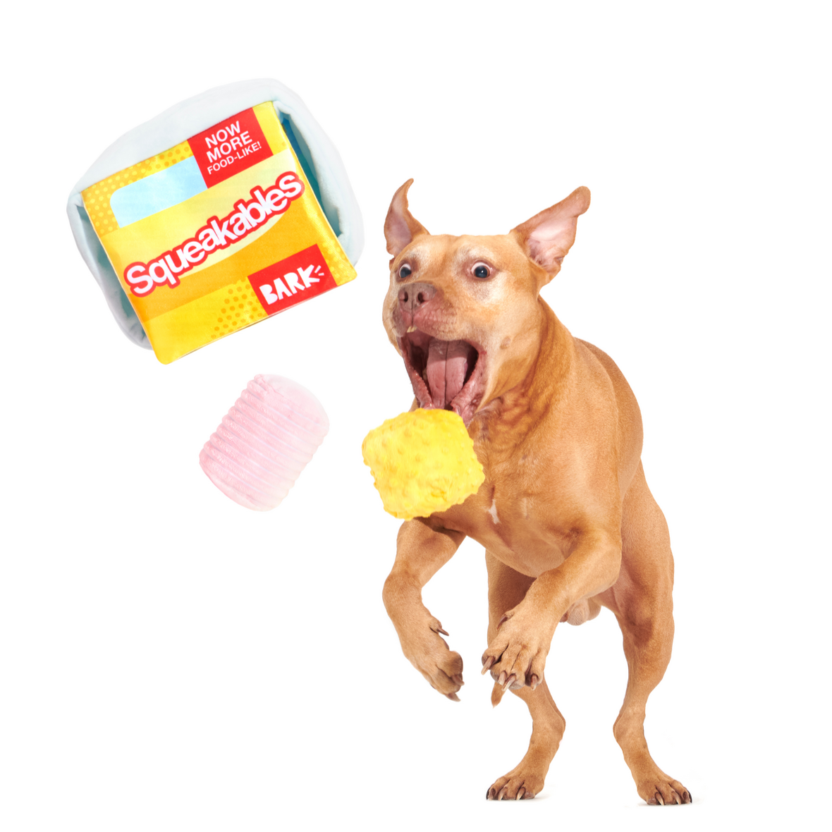 Squeakables Plush Multi-Part + Enrichment Dog Toy