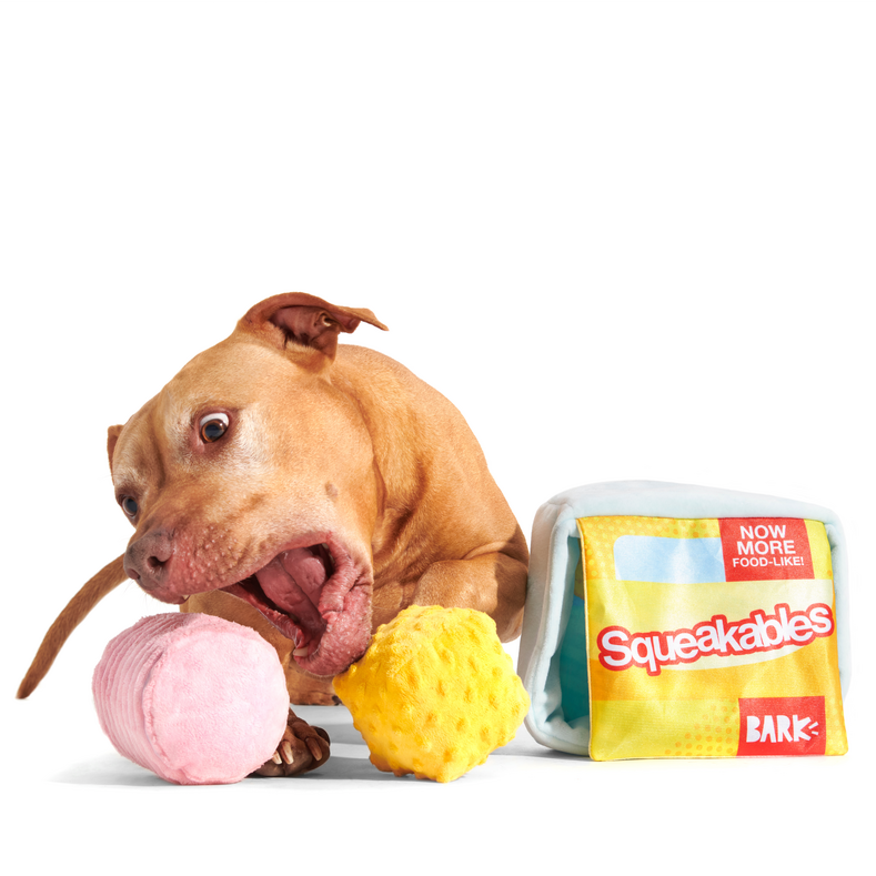Squeakables Plush Multi-Part + Enrichment Dog Toy