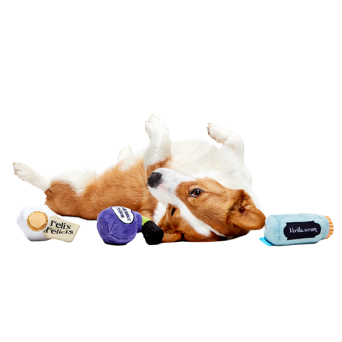 Potions Class Pack™ Plush Multi-Part Dog Toy