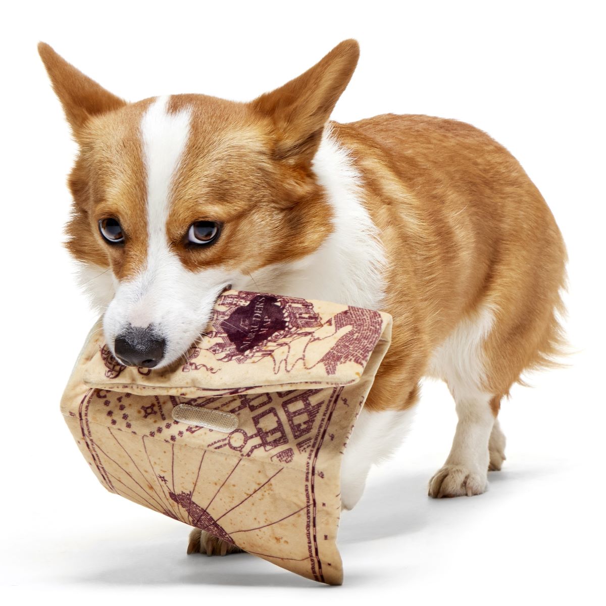 HARRY POTTER™ Plush Toy Bundle