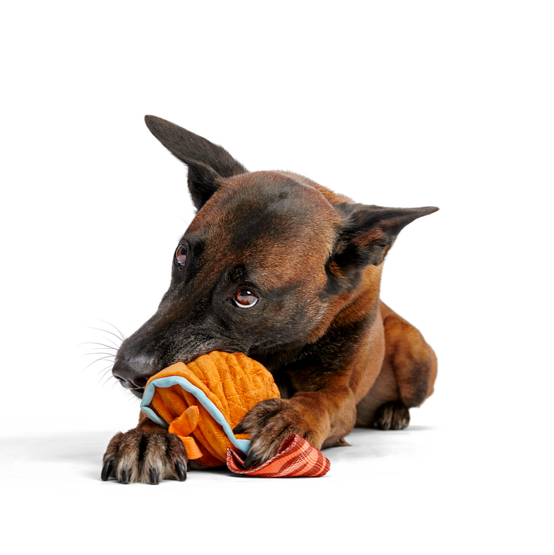 Maple Bacon Old Furshioned