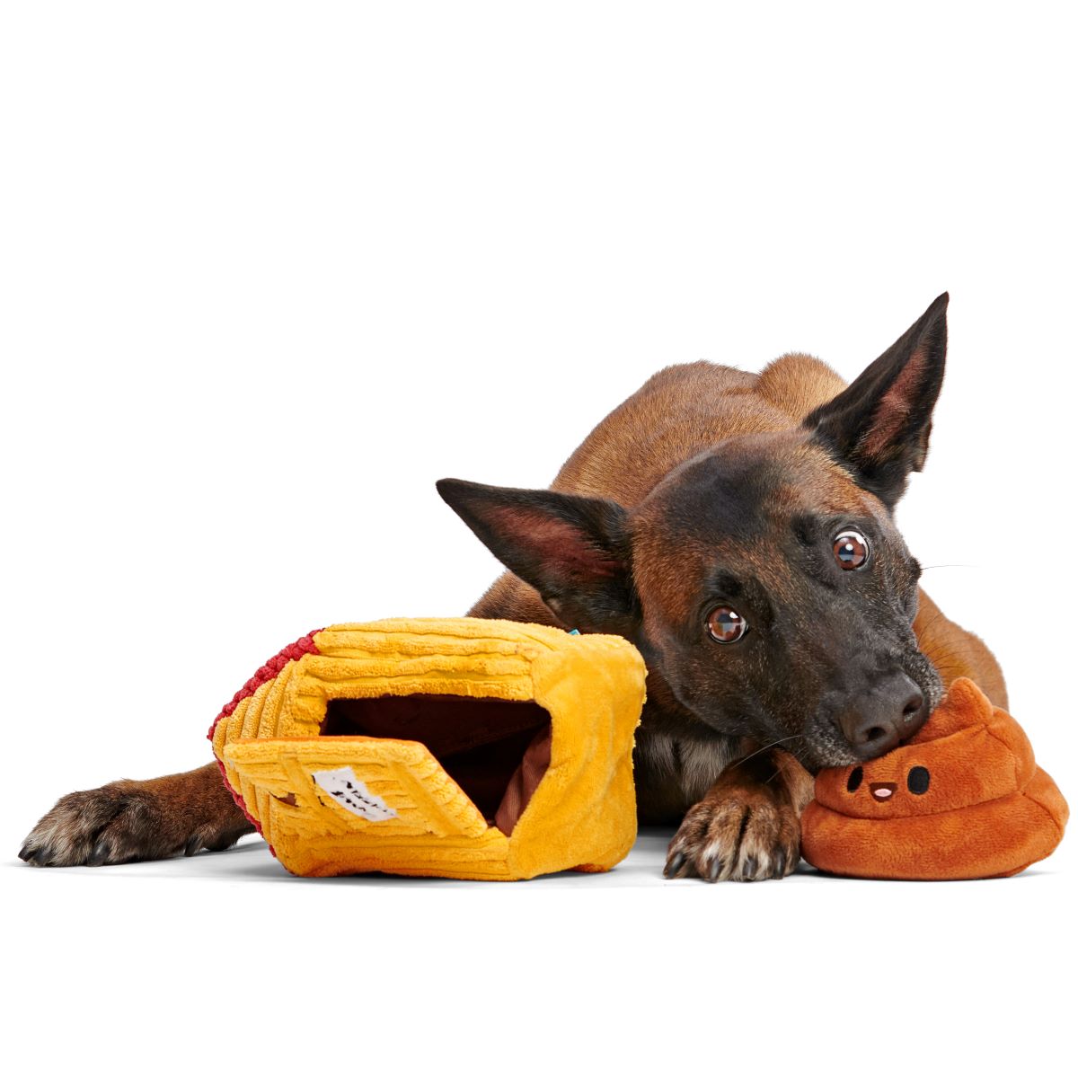 Turdbert's Snouthouse