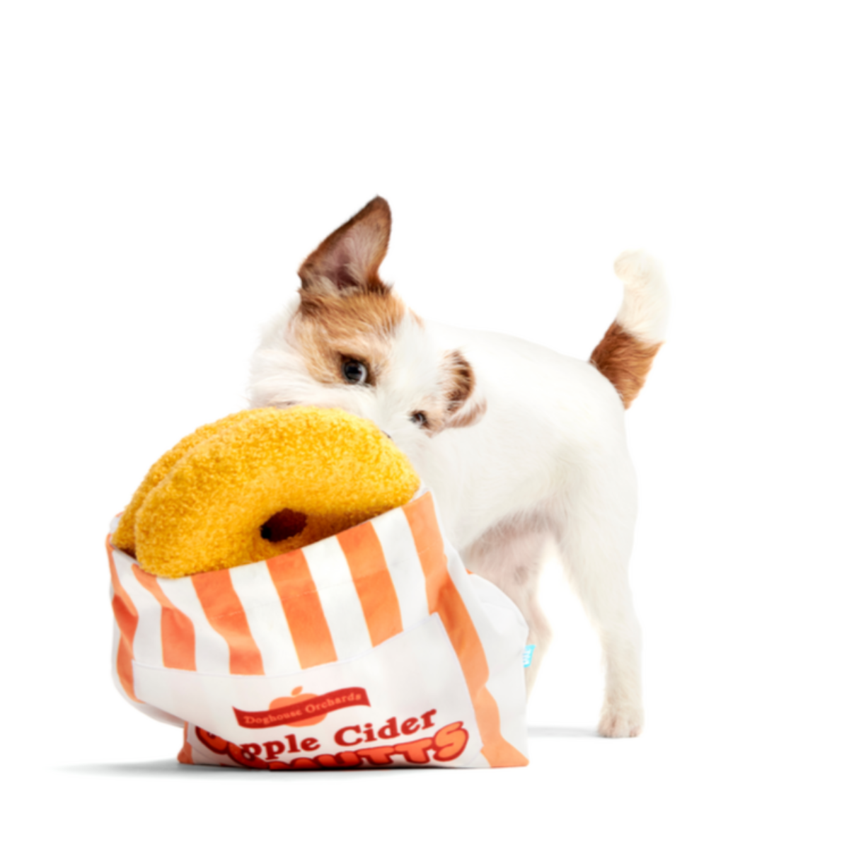 Yapple Cider Domutts