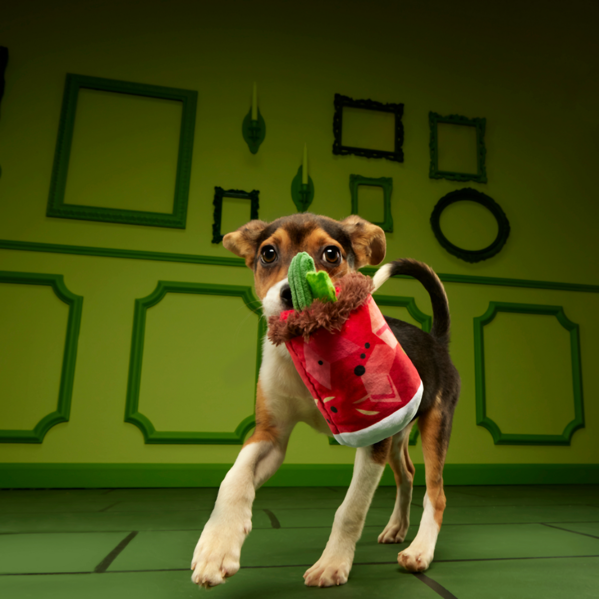 Cocktail Club, Plush Cocktail Monthly Dog Toys