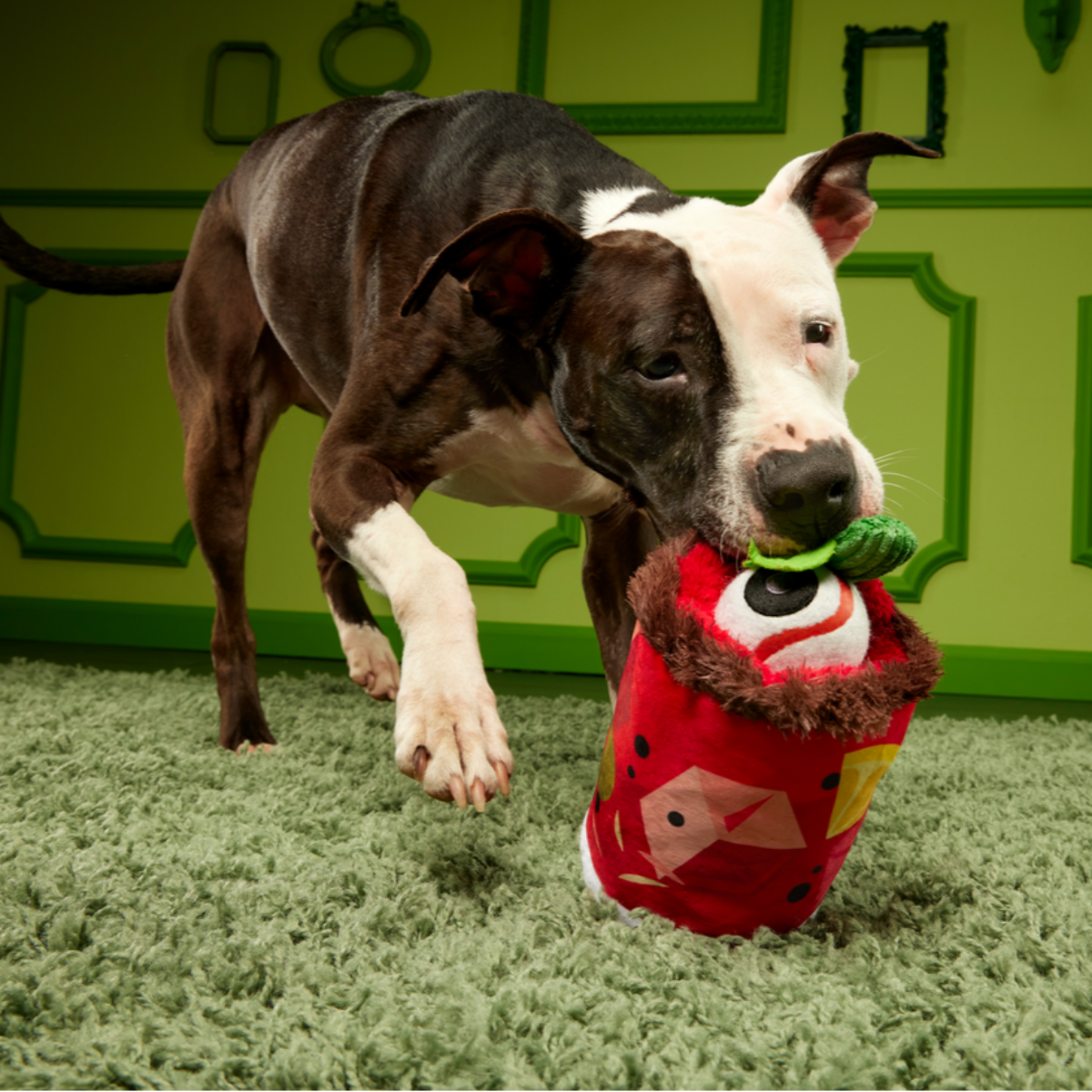 Cocktail Club, Plush Cocktail Monthly Dog Toys