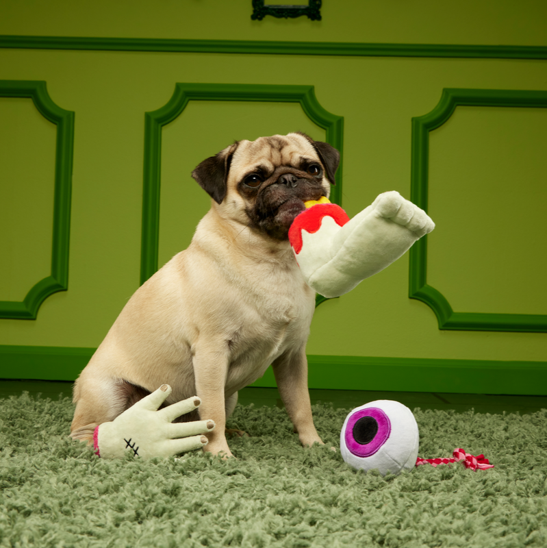 The Part-y Pack Super Chewer Durable Multi-Part + Tug Dog Toy