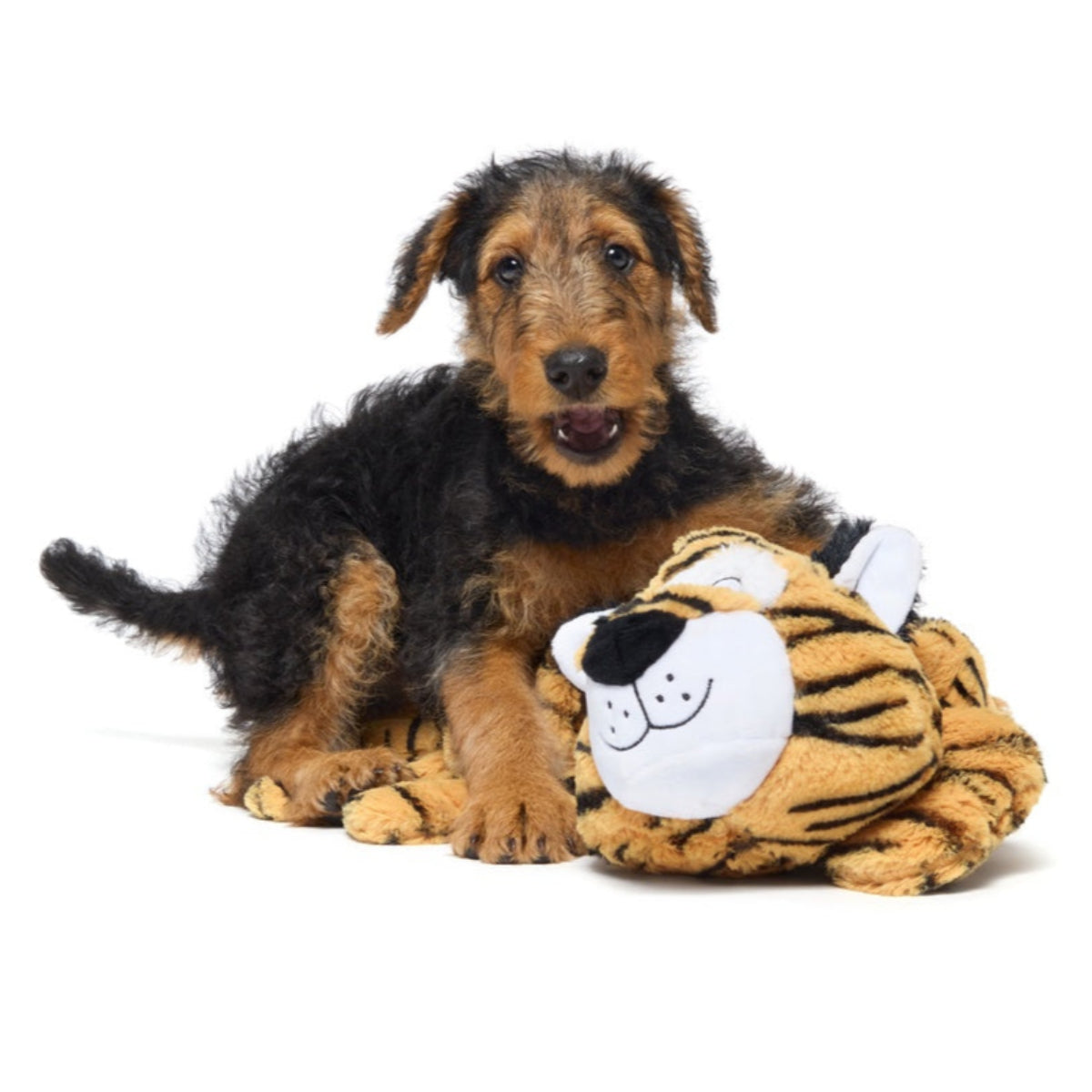 Benji the Bouncing Tiger