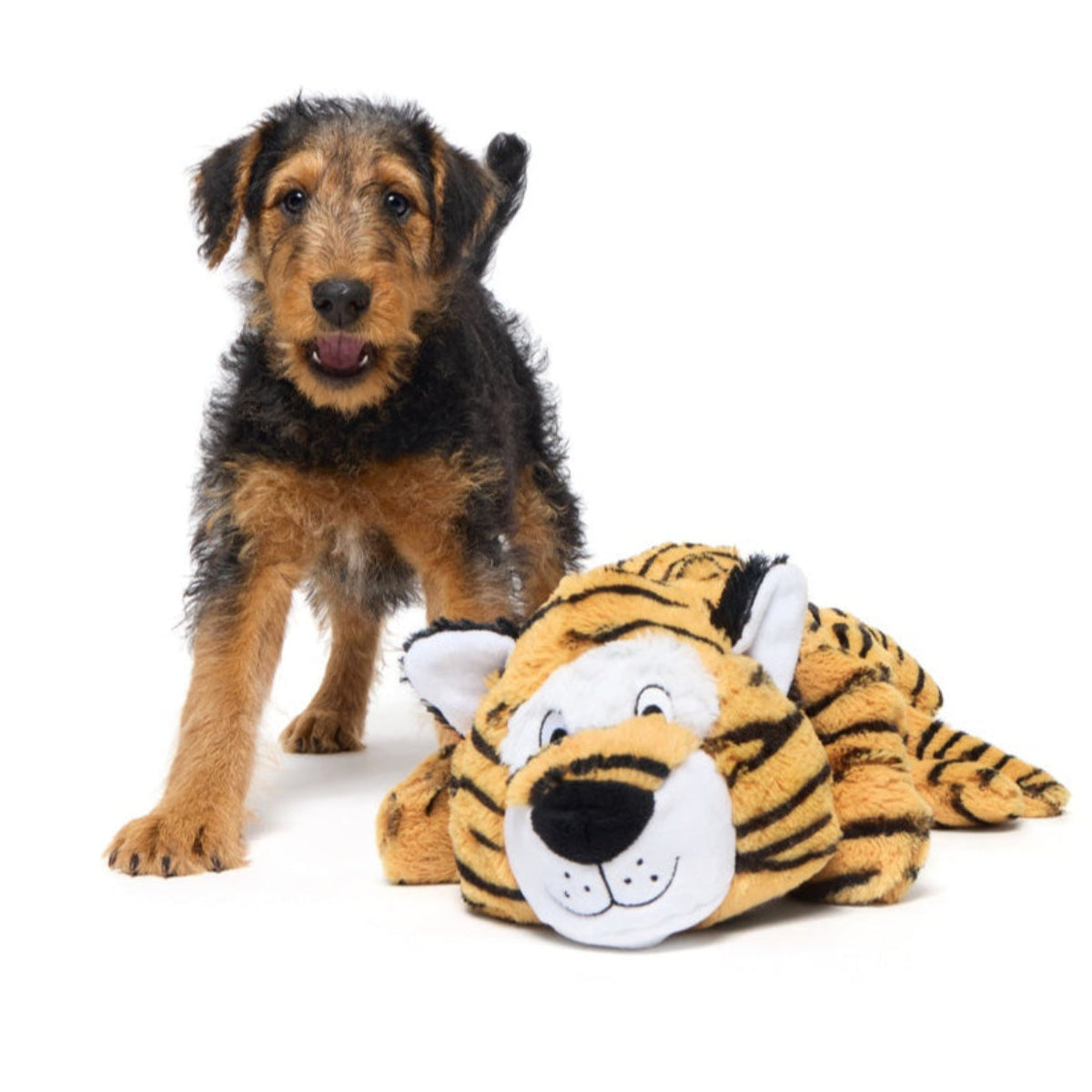 Benji the Bouncing Tiger