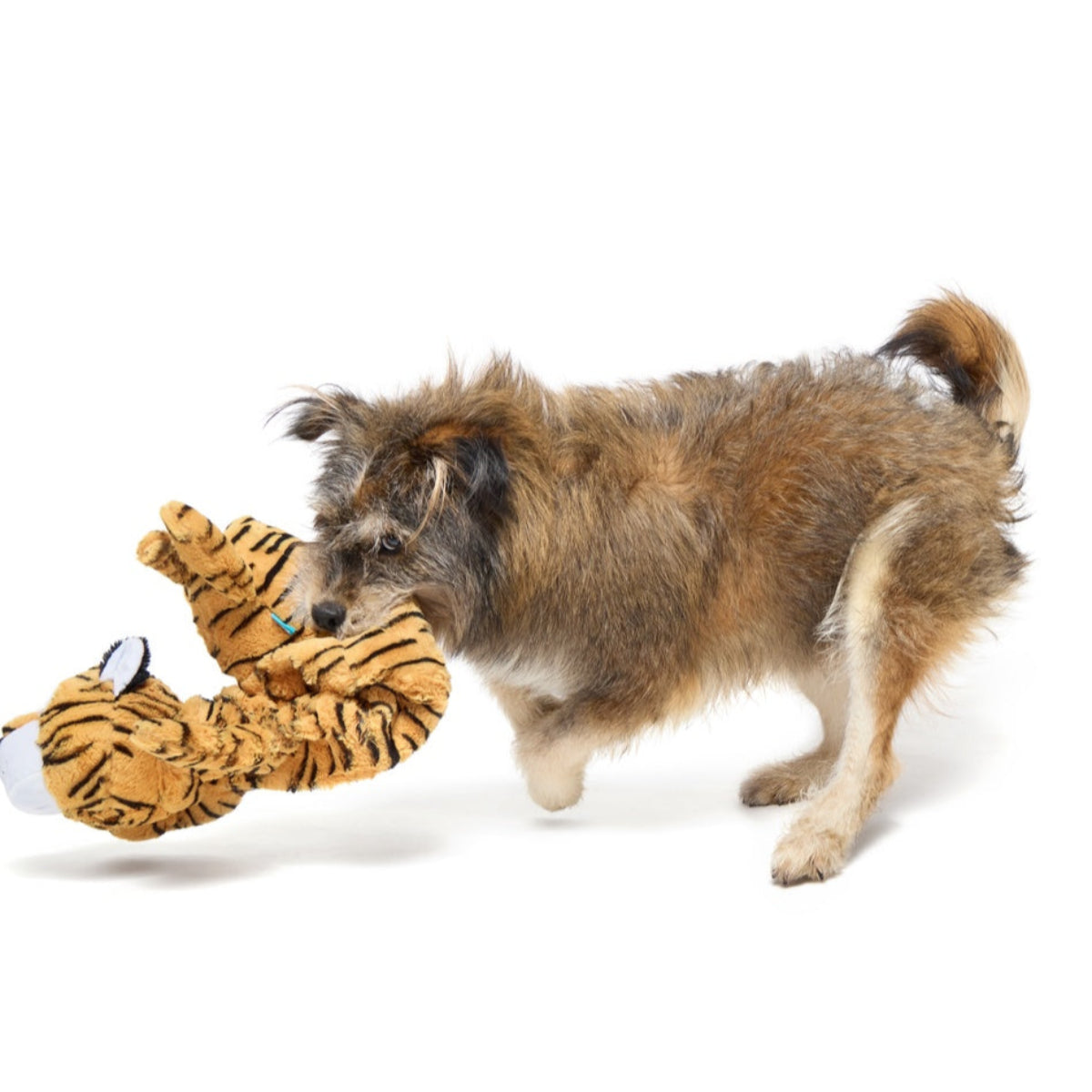 Benji the Bouncing Tiger