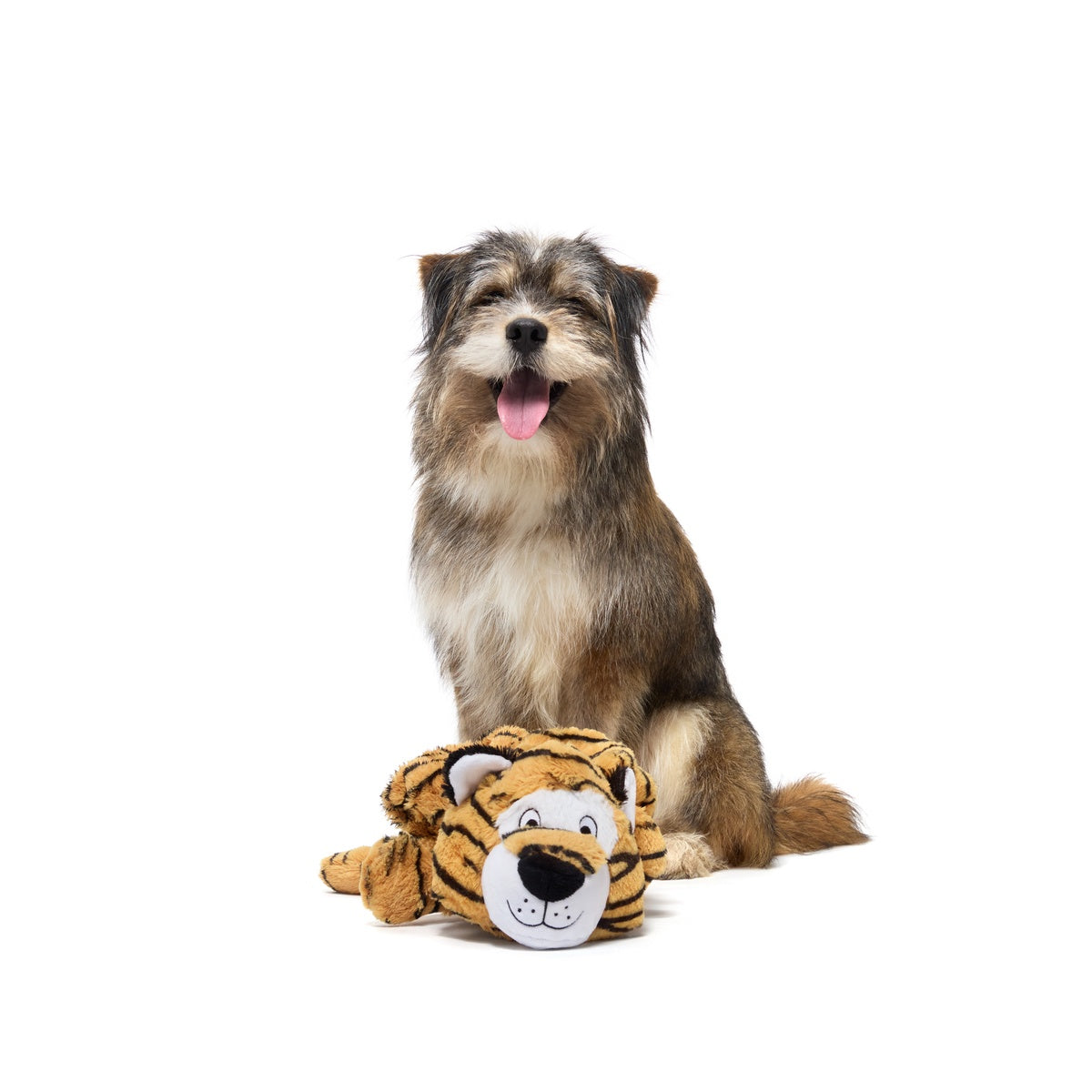 Benji the Bouncing Tiger