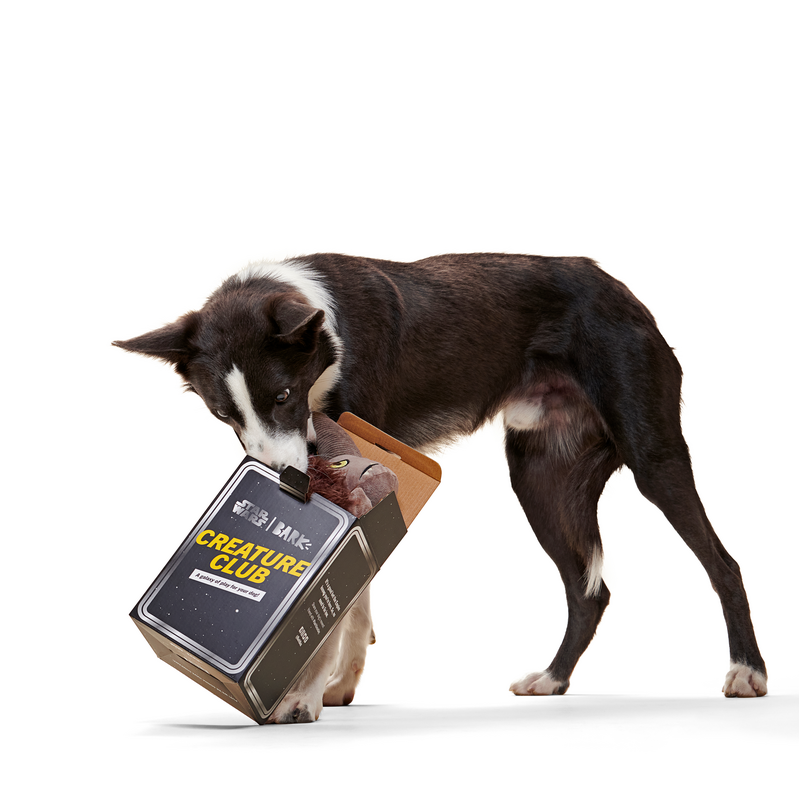 Wooly Bully Mudhorn™