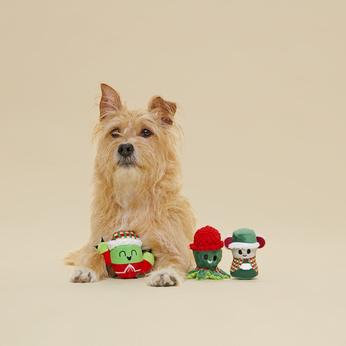 Sing Song Ding Dongs Multipart Plush Multi-Part Dog Toy