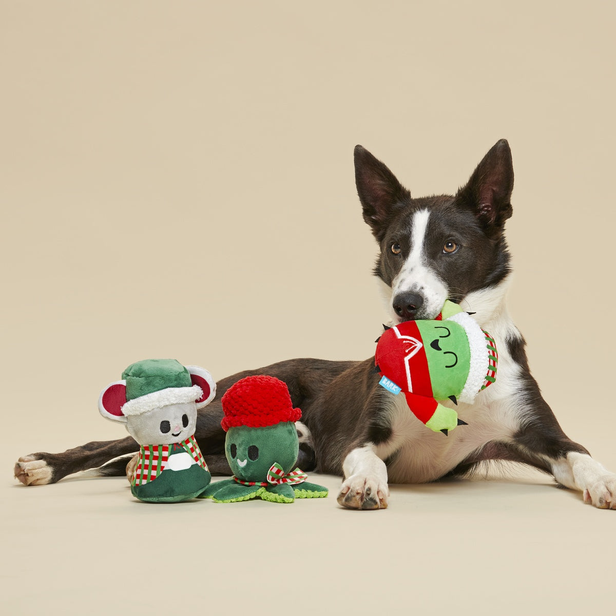 Sing Song Ding Dongs Multipart Plush Dog Toy