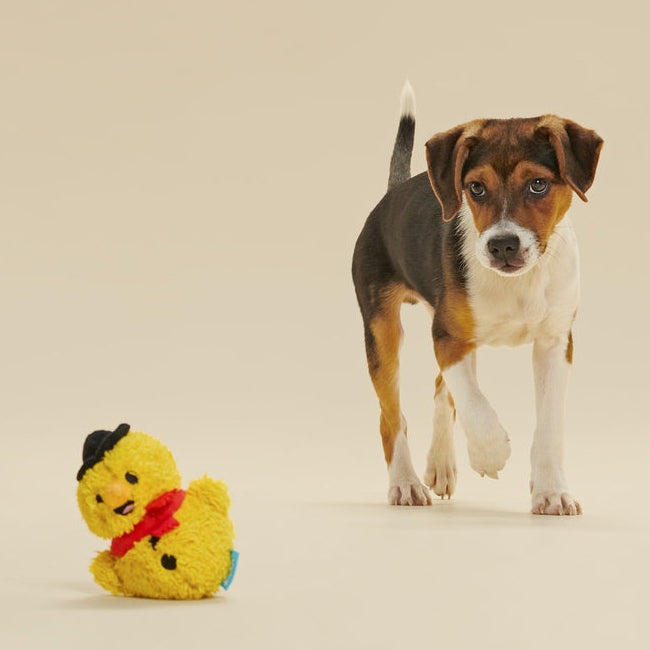 Mark the Yellow Snowman#Size_S