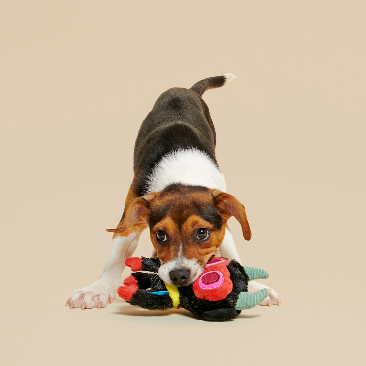 Merry Krampus Plush Multi-Part + Tug Dog Toy