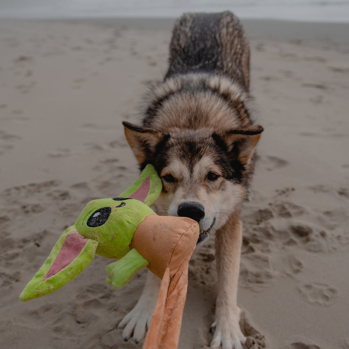Ride along Grogu™ Plush Wearable Tug Dog Toy