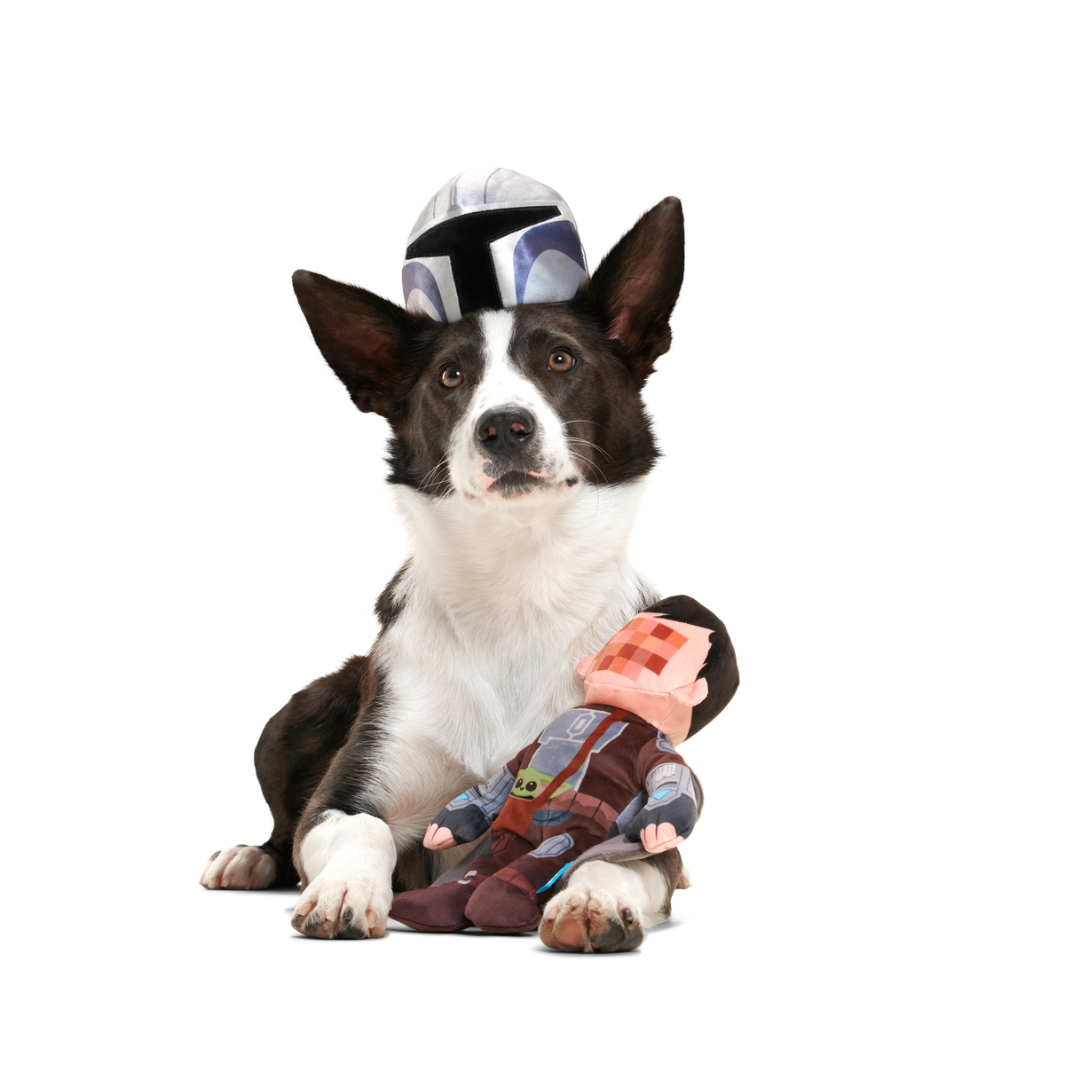 The Mandalorian™ Bounty Fetcher Plush Tug + Multi-Part Dog Toy