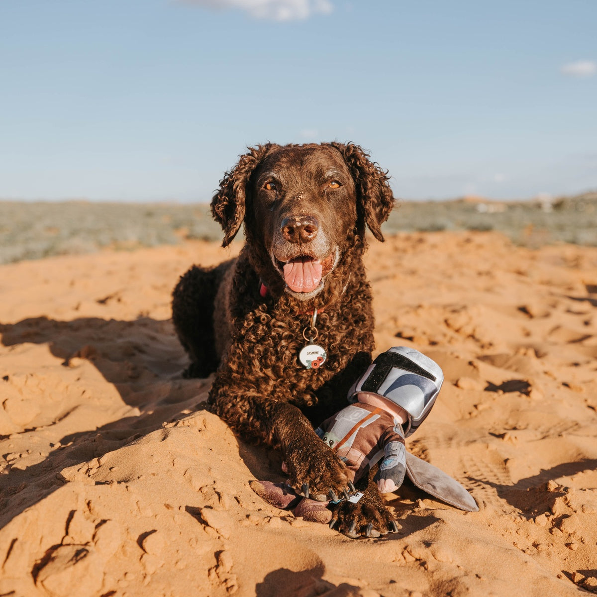 The Mandalorian™ Bounty Fetcher Plush Tug + Multi-Part Dog Toy