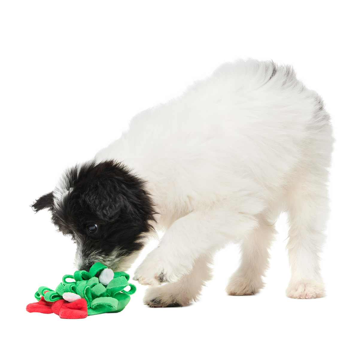 Sniffletoe Plush Tug + Enrichment Dog Toy
