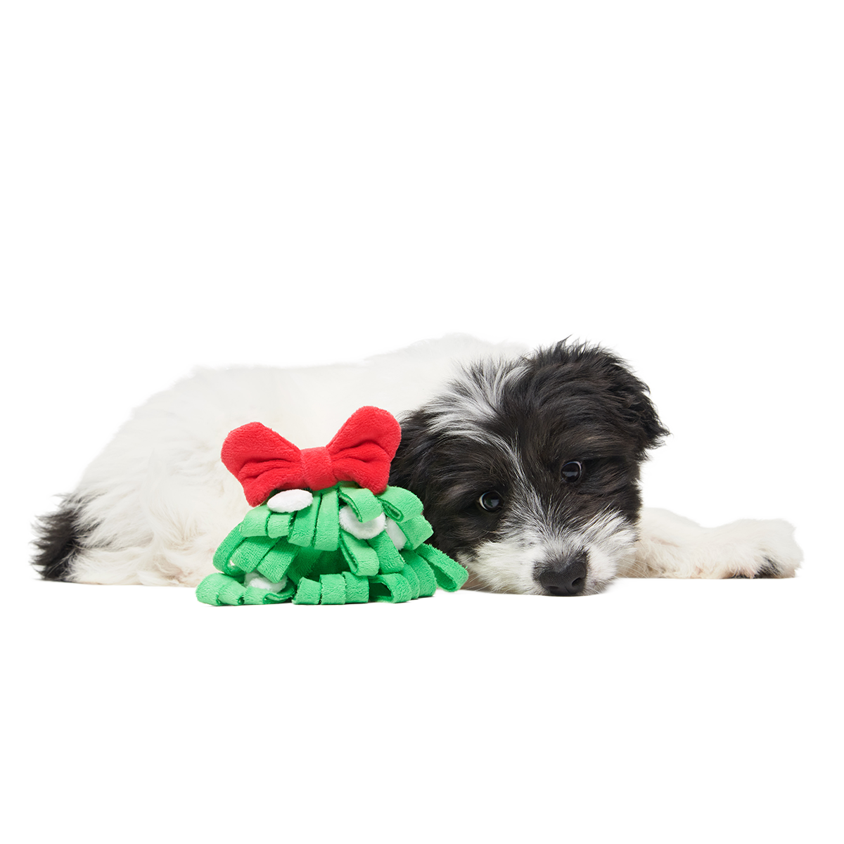 Sniffletoe Plush Tug + Enrichment Dog Toy